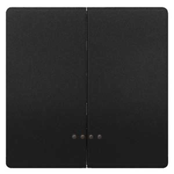 Siemens DELTA style Wippe 2-fach mit Fenster für Serienschalter, anthrazit