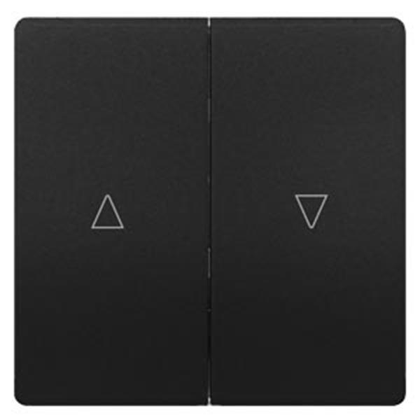 Siemens DELTA style Wippe 2-fach mit Jalousiesymbolen Auf/Ab, anthrazit