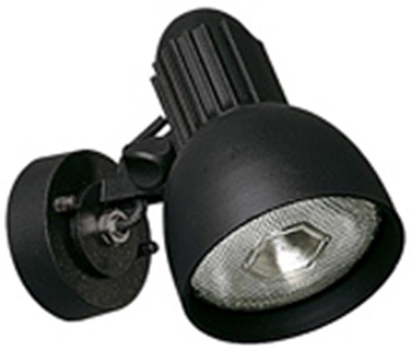 Wandstrahler Typ Nr. 2122 - Farbe: schwarz, für 1 x PAR 38 - 120 W, E27
