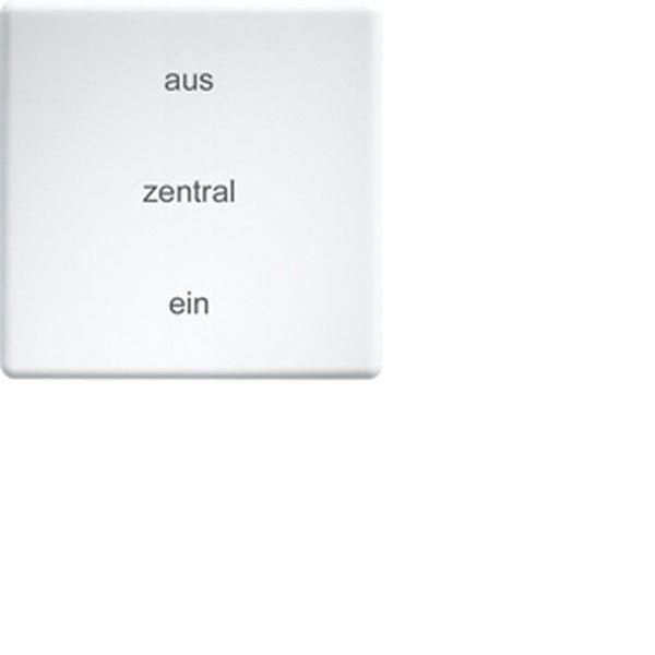 Eltako Wippe W-FT55/55G/5 lasergraviert f. Funktaster