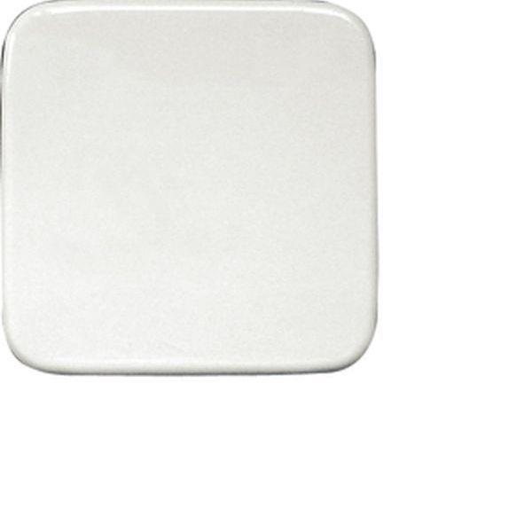 Eltako Wippe für Funk-Taster W-FT55R weiss Kennz. 0/1