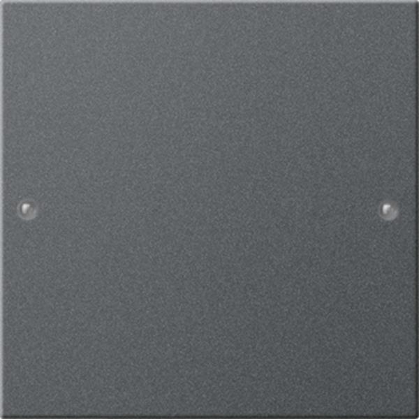 Gira Wippenset 1f System 55 Anthrazit(lack.)