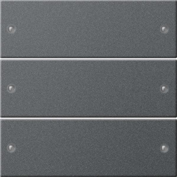 Gira Wippenset 3f System 55 Anthrazit(lack.)