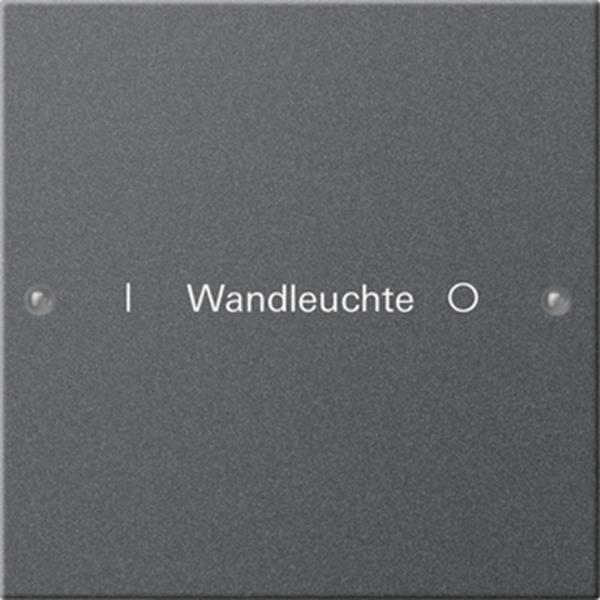 Gira Wippenset 1f beschr. System 55 Anthrazit(lack.)