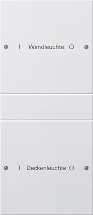 Gira Wippenset 2f (1+1) beschr. System 55 Reinweiß(lack.)