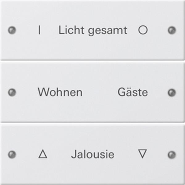 Gira Wippenset 3f beschr. System 55 Reinweiß(lack.)