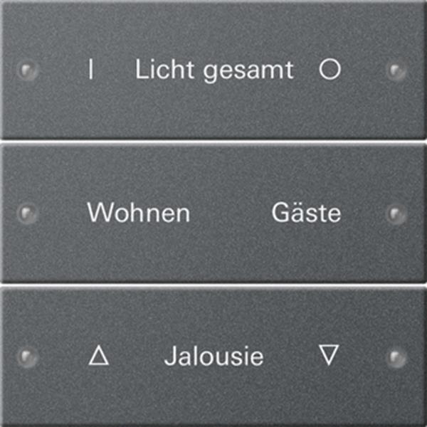 Gira Wippenset 3f beschr. System 55 Anthrazit(lack.)