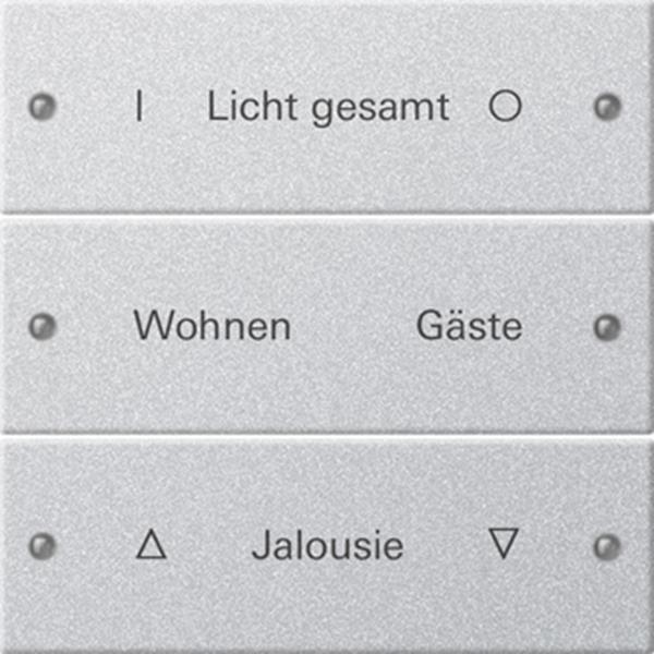 Gira Wippenset 3f beschr. System 55 F Alu(lack.)