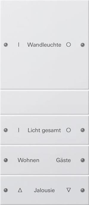 Gira Wippenset 4f (1+3) beschr. System 55 Reinweiß(lack.)