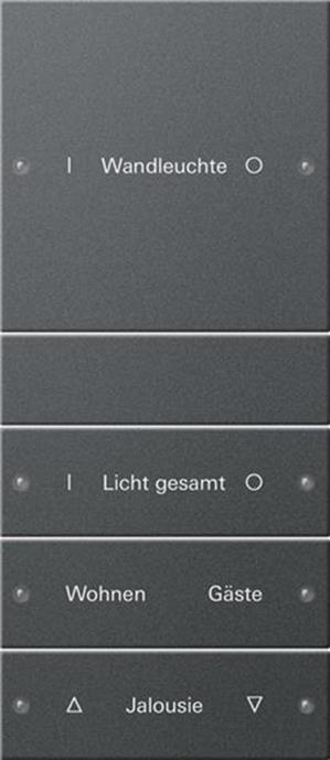 Gira Wippenset 4f (1+3) beschr. System 55 Anthrazit(lack.)