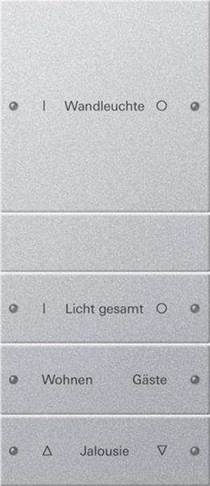 Gira Wippenset 4f (1+3) beschr. System 55 F Alu(lack.)