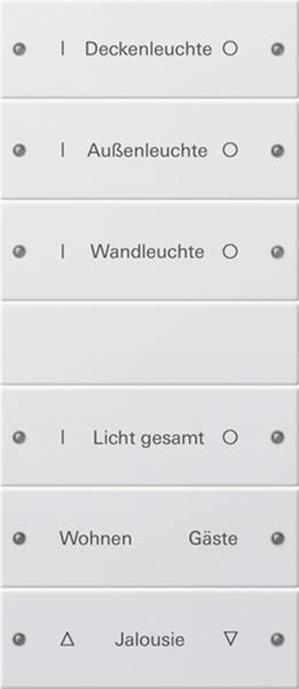 Gira Wippenset 6f (3+3) beschr. System 55 Reinweiß(lack.)