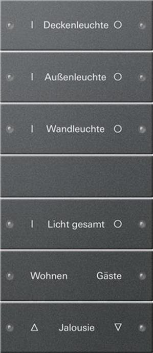 Gira Wippenset 6f (3+3) beschr. System 55 Anthrazit(lack.)