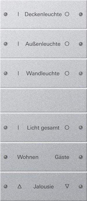 Gira Wippenset 6f (3+3) beschr. System 55 F Alu(lack.)