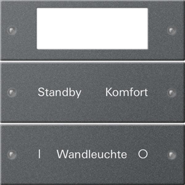 Gira Wippenset 2f Plus beschr. System 55 Anthrazit(lack.)