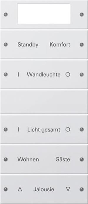 Gira Wippenset 5f Plus (2+3) beschr. System 55 Reinweiß(lack.)