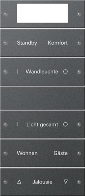 Gira Wippenset 5f Plus (2+3) beschr. System 55 Anthrazit(lack.)