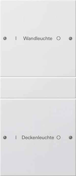 Gira Wippenset 2f (1+1) beschr. System 55 Reinweiß m(lack.)