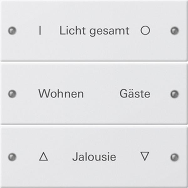 Gira Wippenset 3f beschr. System 55 Reinweiß m(lack.)