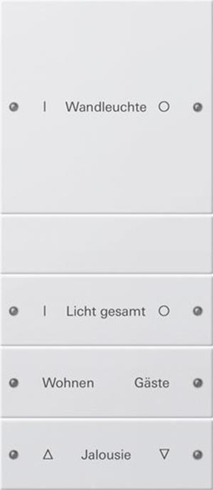 Gira Wippenset 4f (1+3) beschr. System 55 Reinweiß m(lack.)