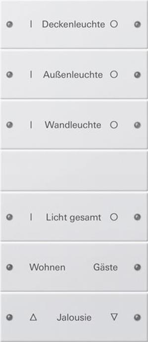 Gira Wippenset 6f (3+3) beschr. System 55 Reinweiß m(lack.)