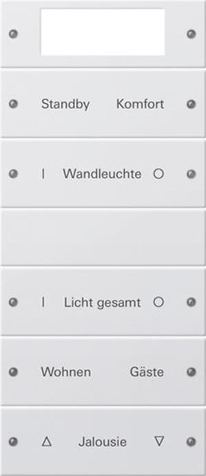 Gira Wippenset 5f Plus (2+3) beschr. System 55 Reinweiß m(lack.)