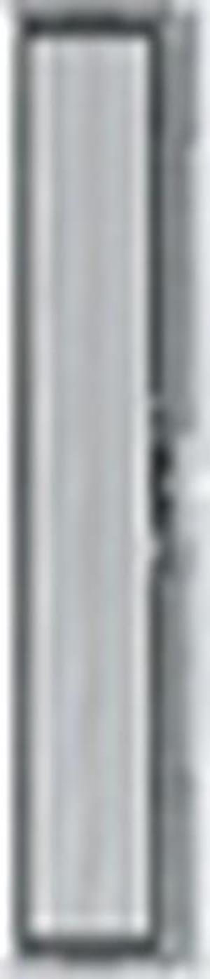 Gira BSF blanko BSS f. Schalter/Taster WG AP