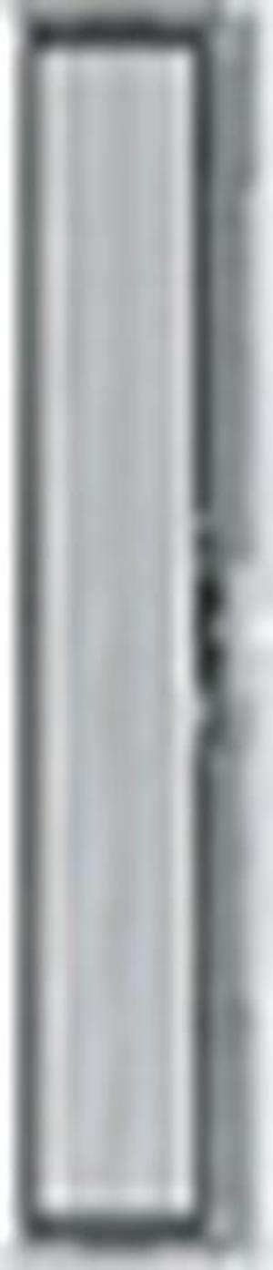 Gira BSF blanko BSS f. SCHUKO-Steckdose WG AP