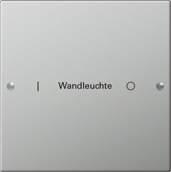 Gira Wippenset 1f beschr. System 55 Edelstahl