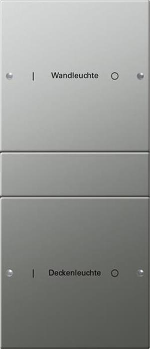 Gira Wippenset 2f (1+1) beschr. System 55 Edelstahl