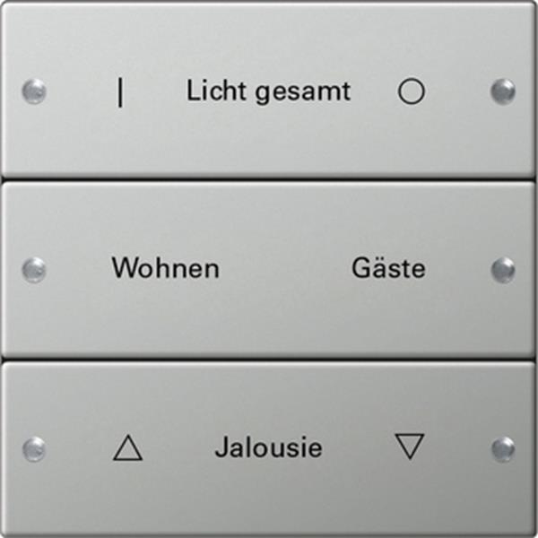 Gira Wippenset 3f beschr. System 55 Edelstahl