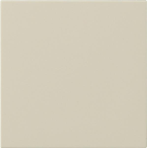 Gira S3000 Bedienaufs. System 55 Cremeweiß