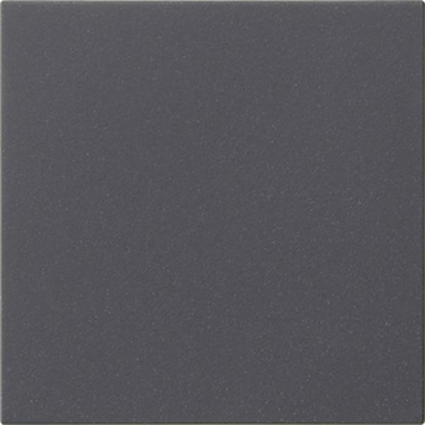 Gira S3000 Bedienaufs. System 55 Anthrazit