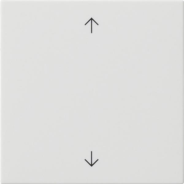 Gira S3000 Bedienaufs. Pfeile System 55 Reinweiß