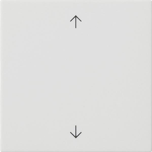 Gira S3000 Bedienaufs. Pfeile System 55 Reinweiß m