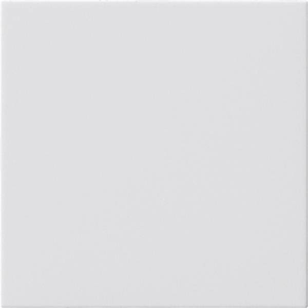 Gira Blindabd. o.Tragring System 55 Reinweiß