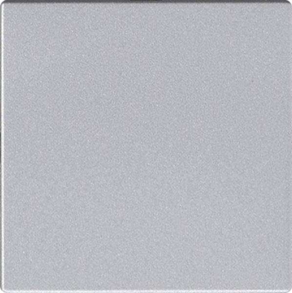 Gira Blindabd. o.Tragring System 55 F Alu