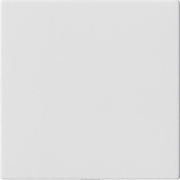 Gira Blindabd. o.Tragring System 55 Reinweiß m