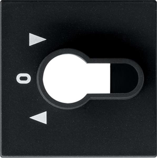 Gira Abdeckung Schlüsselschalter/-taster System 55 Schwarz m