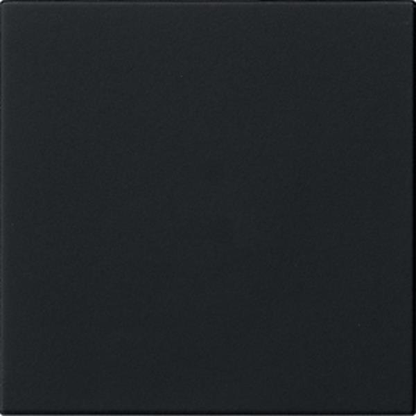 Gira S3000 Bedienaufs. System 55 Schwarz m