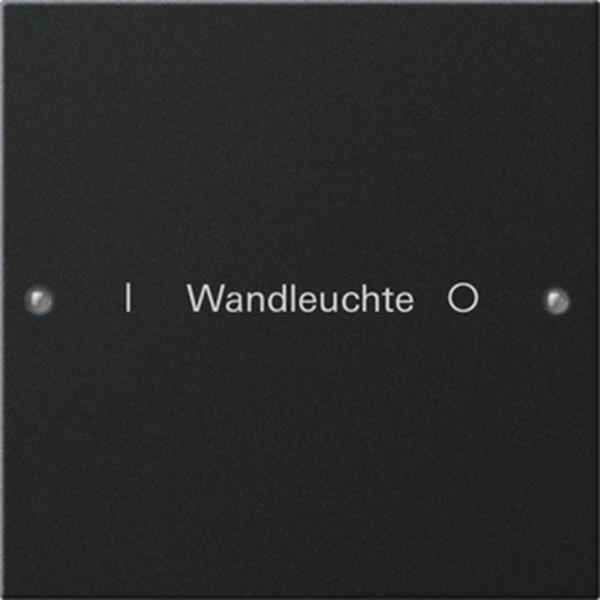 Gira Wippenset 1f beschr. System 55 Schwarz m(lack.)