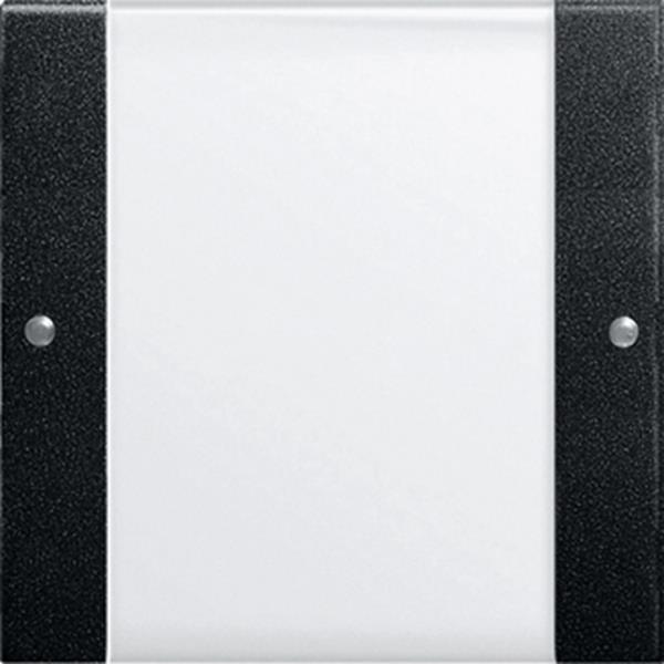 Gira Wippenset 1f BSF System 55 Klar/Schwarz m