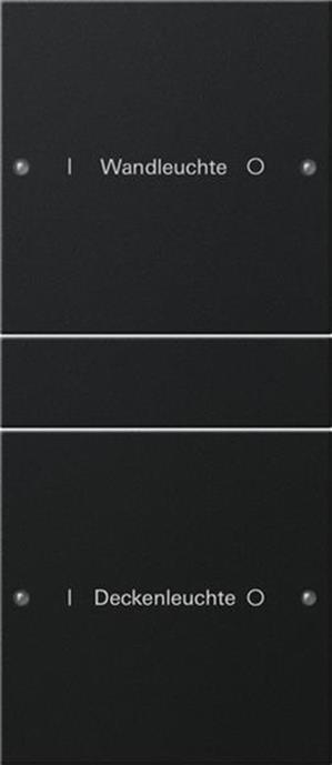 Gira Wippenset 2f (1+1) beschr. System 55 Schwarz m(lack.)