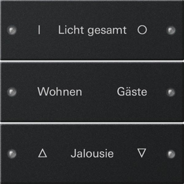 Gira Wippenset 3f beschr. System 55 Schwarz m(lack.)