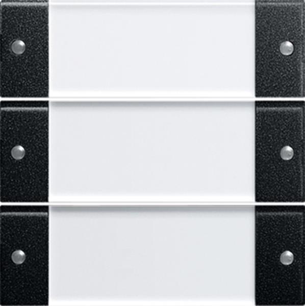 Gira Wippenset 3f BSF System 55 Klar/Schwarz m