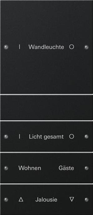 Gira Wippenset 4f (1+3) beschr. System 55 Schwarz m(lack.)