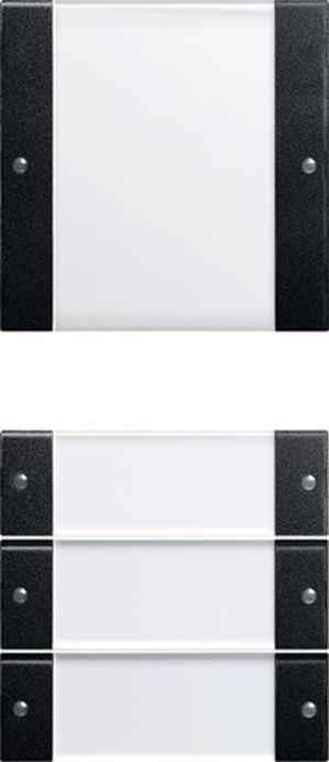 Gira Wippenset 4f (1+3) BSF System 55 Klar/Schwarz m