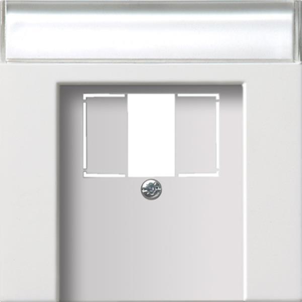 Gira Abdeckung BSF TAE USB Flächenschalter Reinweiß