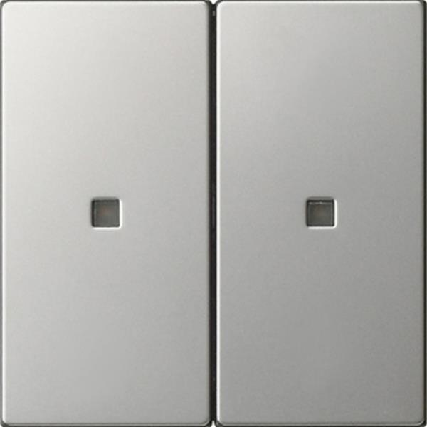 Gira Wippe 2f unbedruckt Kontrollf. System 55 Edelstahl