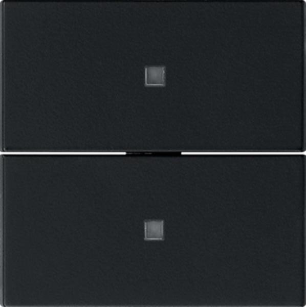 Gira Wippe 2f unbedruckt Kontrollf. System 55 Schwarz m